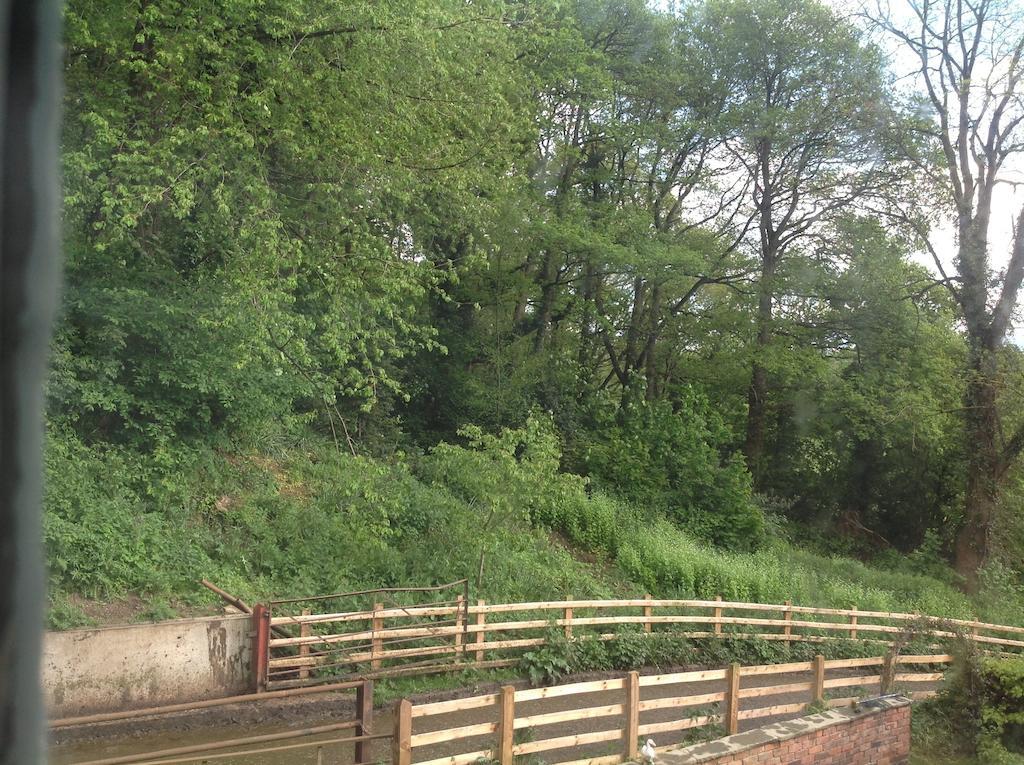 Bach Y Graig Hotel St Asaph Bilik gambar