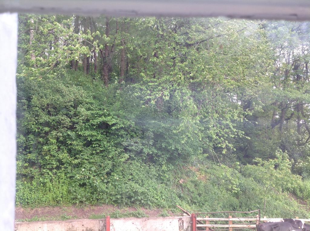 Bach Y Graig Hotel St Asaph Bilik gambar
