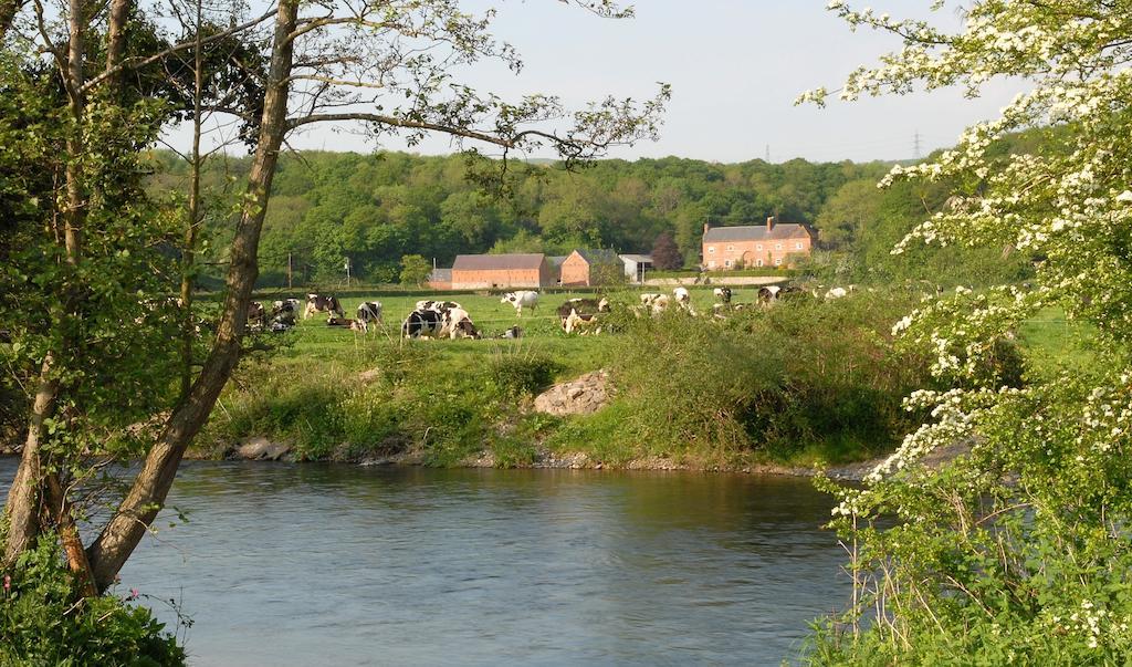 Bach Y Graig Hotel St Asaph Luaran gambar